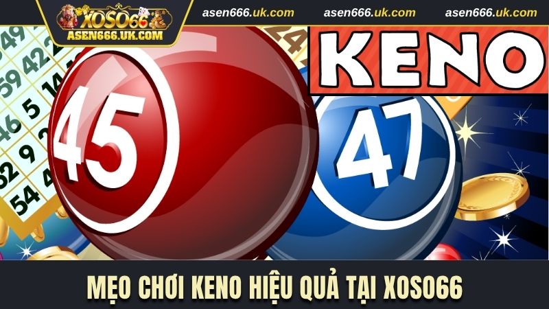 Cách chơi xổ số Keno Xoso66 hiệu quả từ chuyên gia 