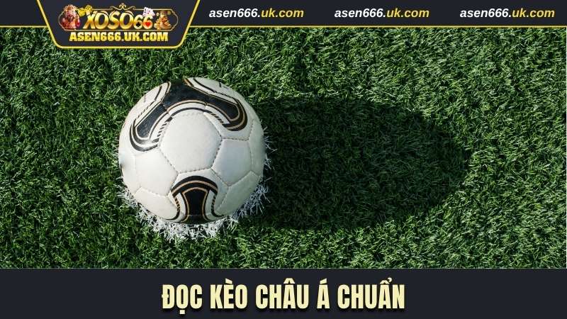 Đọc kèo Châu Á chuẩn