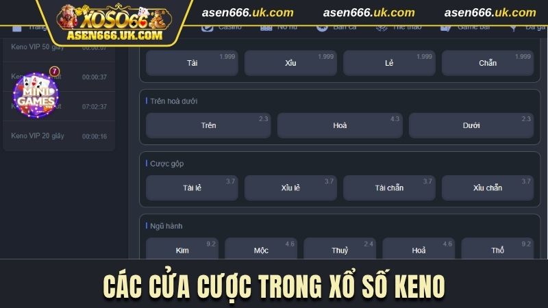 Nắm vững các cửa cược để có chiến thuật hiệu quả 
