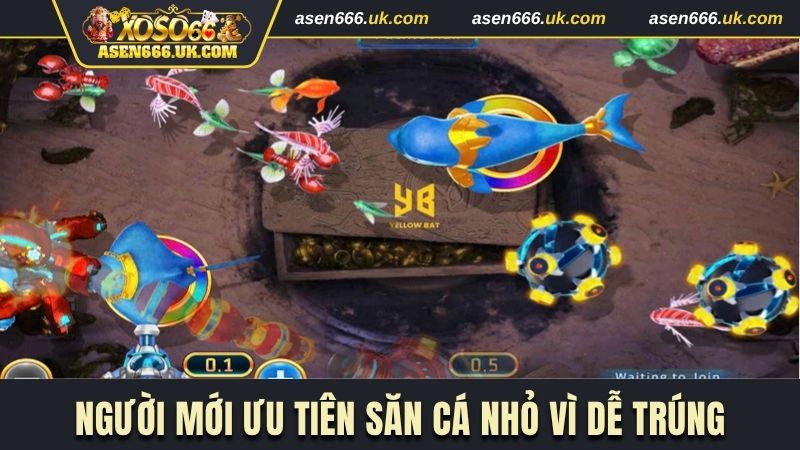 Người mới ưu tiên săn cá nhỏ vì dễ trúng
